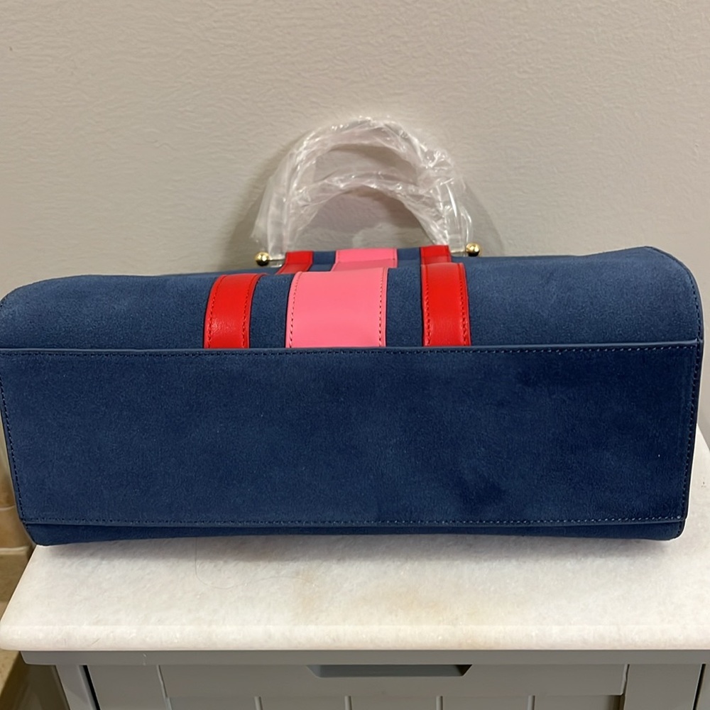 NWT Bagging Rights Hand Bag - Picture 5 of 7